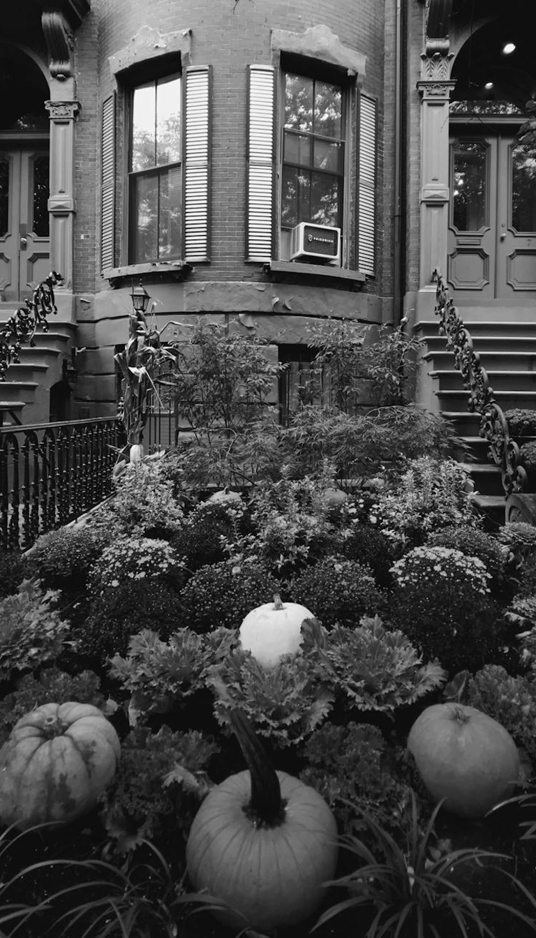 Iron Railing