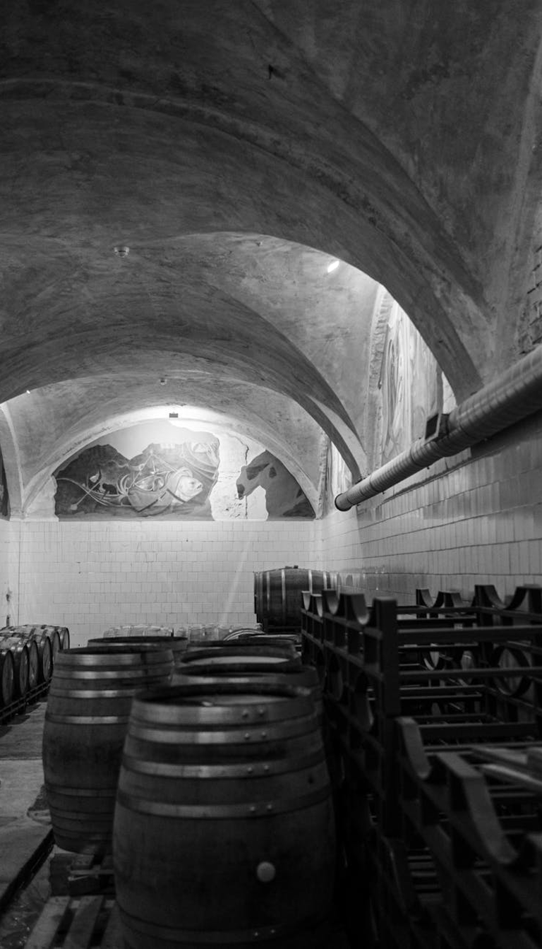 Cellar Door