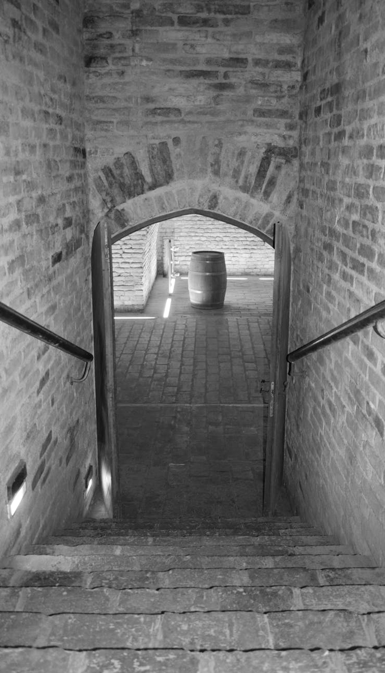 Coal Cellar
