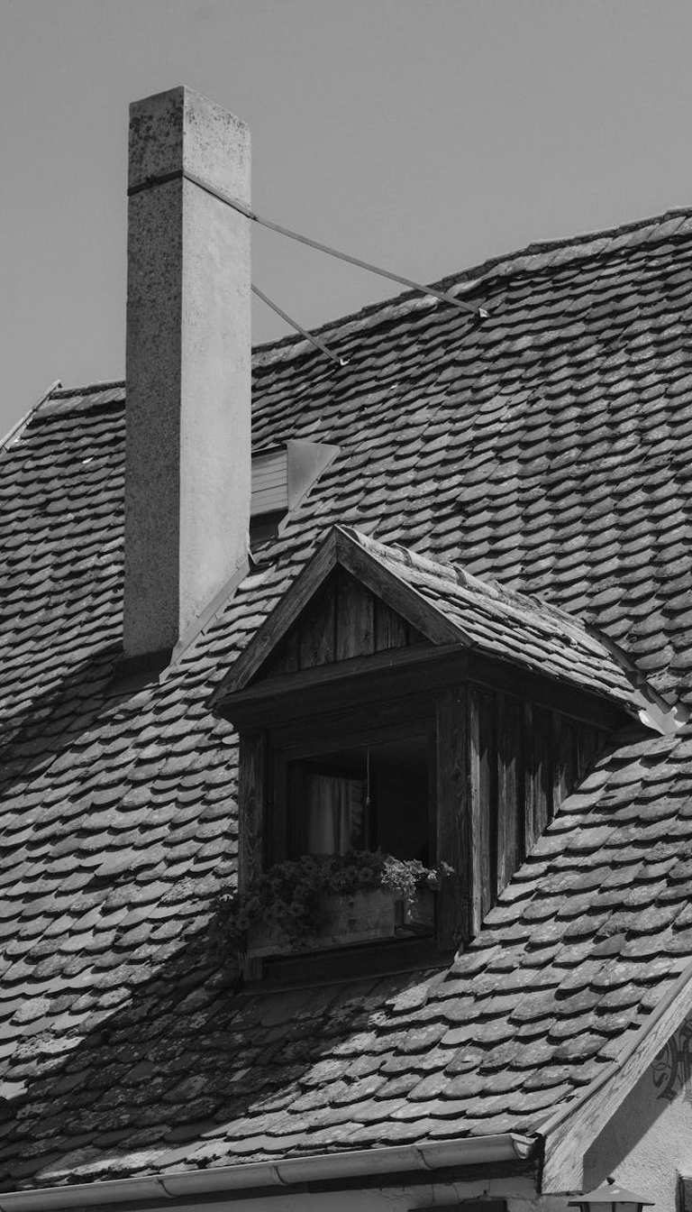 Fascia