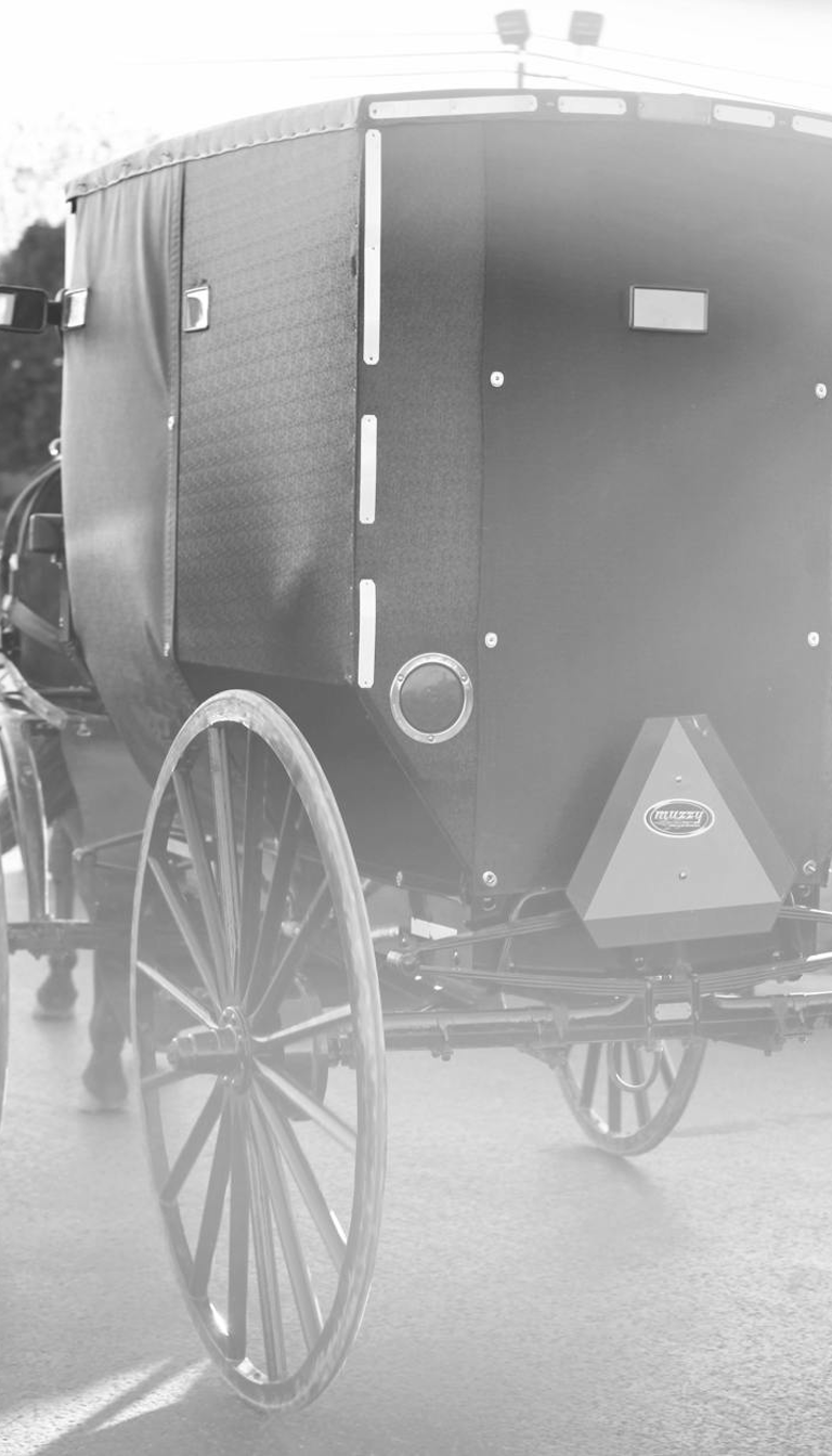 Ice Wagon