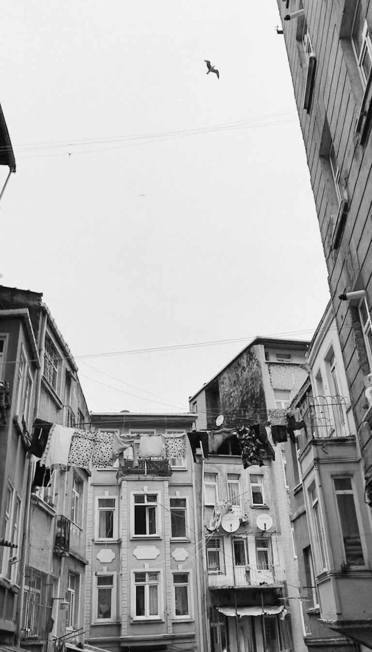 Laundry Line