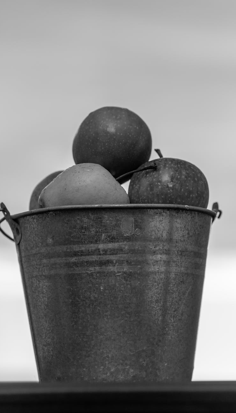 Lunch Pail