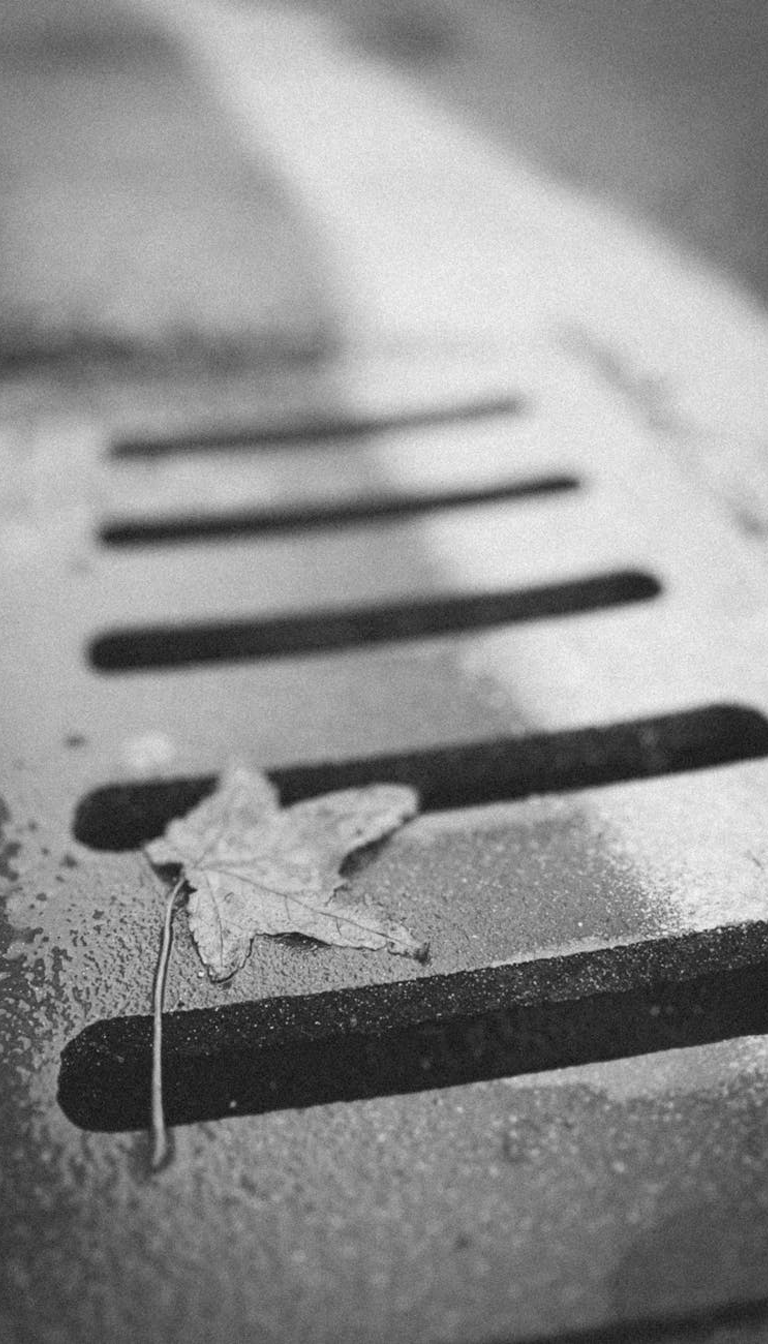 Sewer Grate