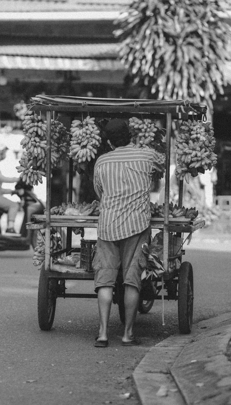 Push Cart